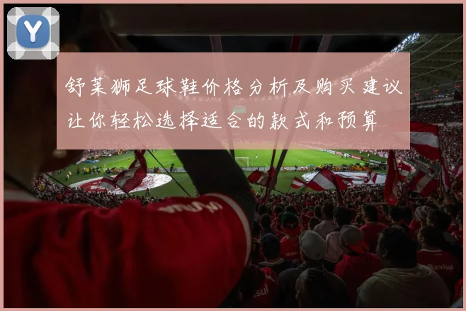 舒莱狮足球鞋价格分析及购买建议让你轻松选择适合的款式和预算