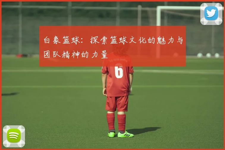 白象篮球：探索篮球文化的魅力与团队精神的力量