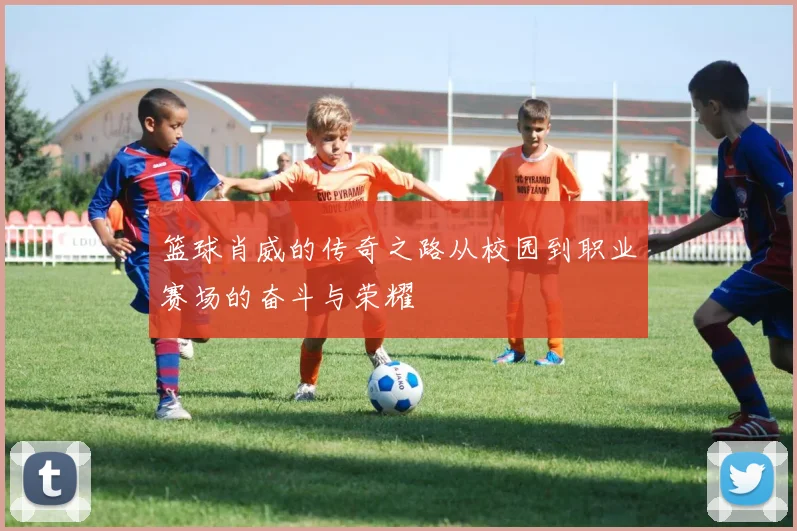 篮球肖威的传奇之路从校园到职业赛场的奋斗与荣耀